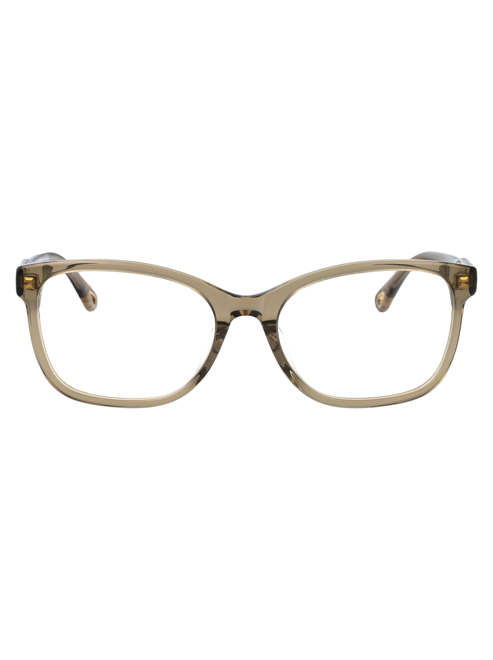 Chloé Women's Green-Green-Transparent Ch0276oa Acetate Optical
