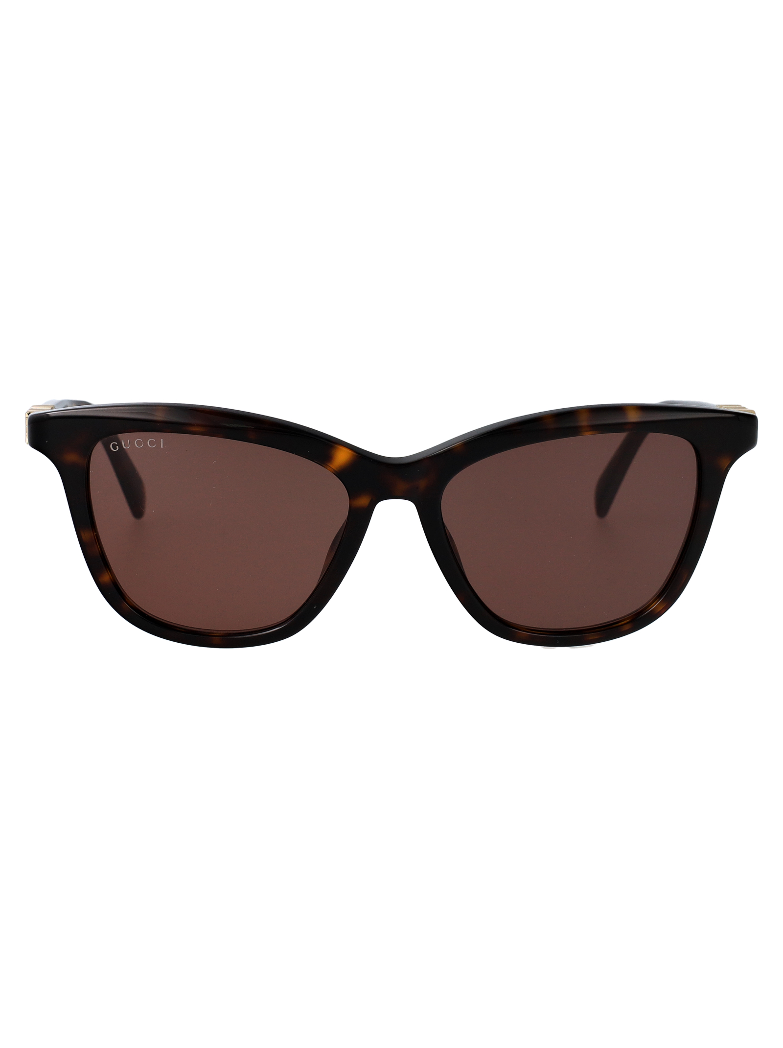 Gucci Gg2032s 002 Havana-havana-brown Acetate Sunglasses - Women