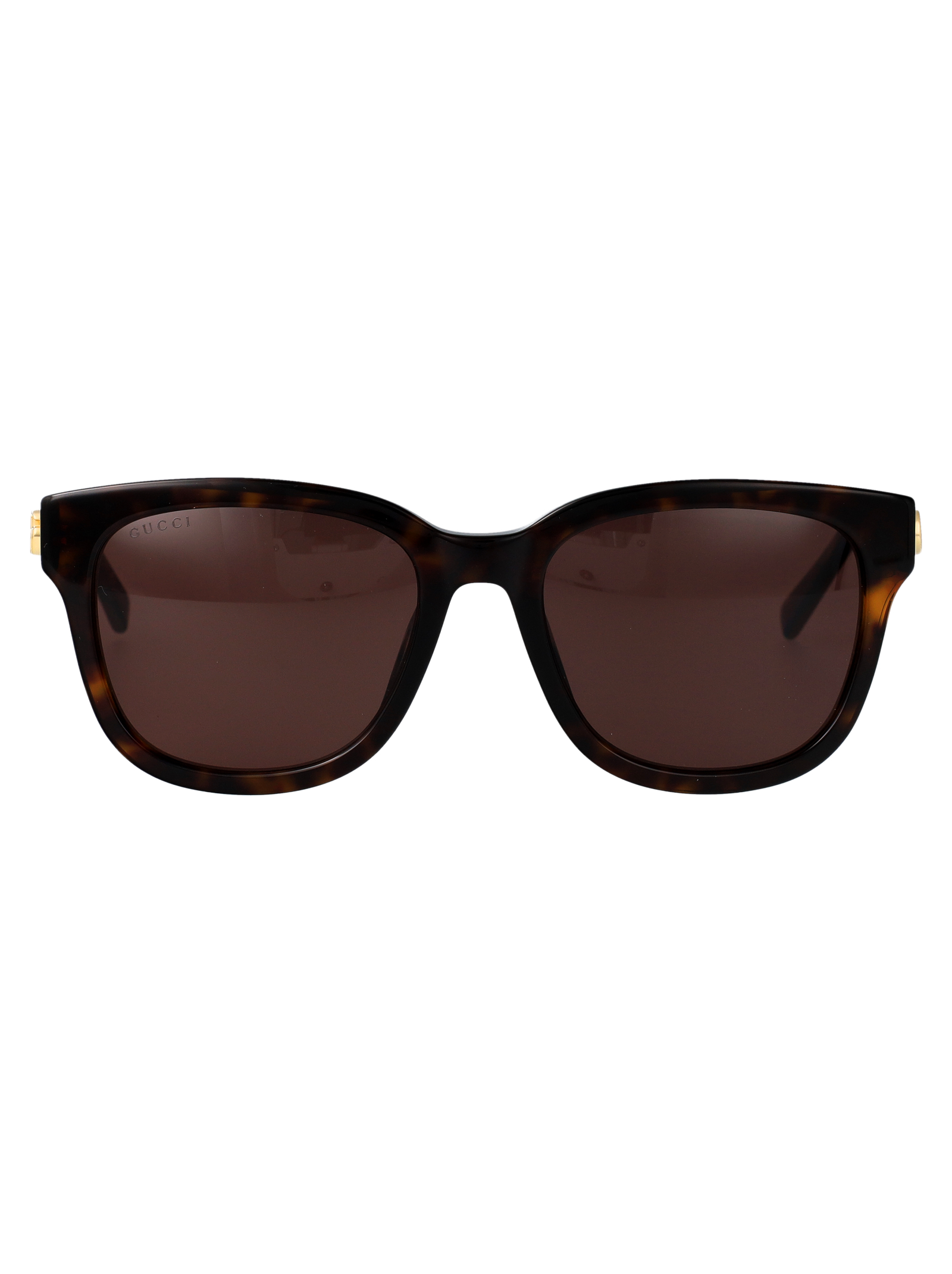 Gucci Gg2126sk 002 Havana-havana-brown Acetate Sunglasses - Women