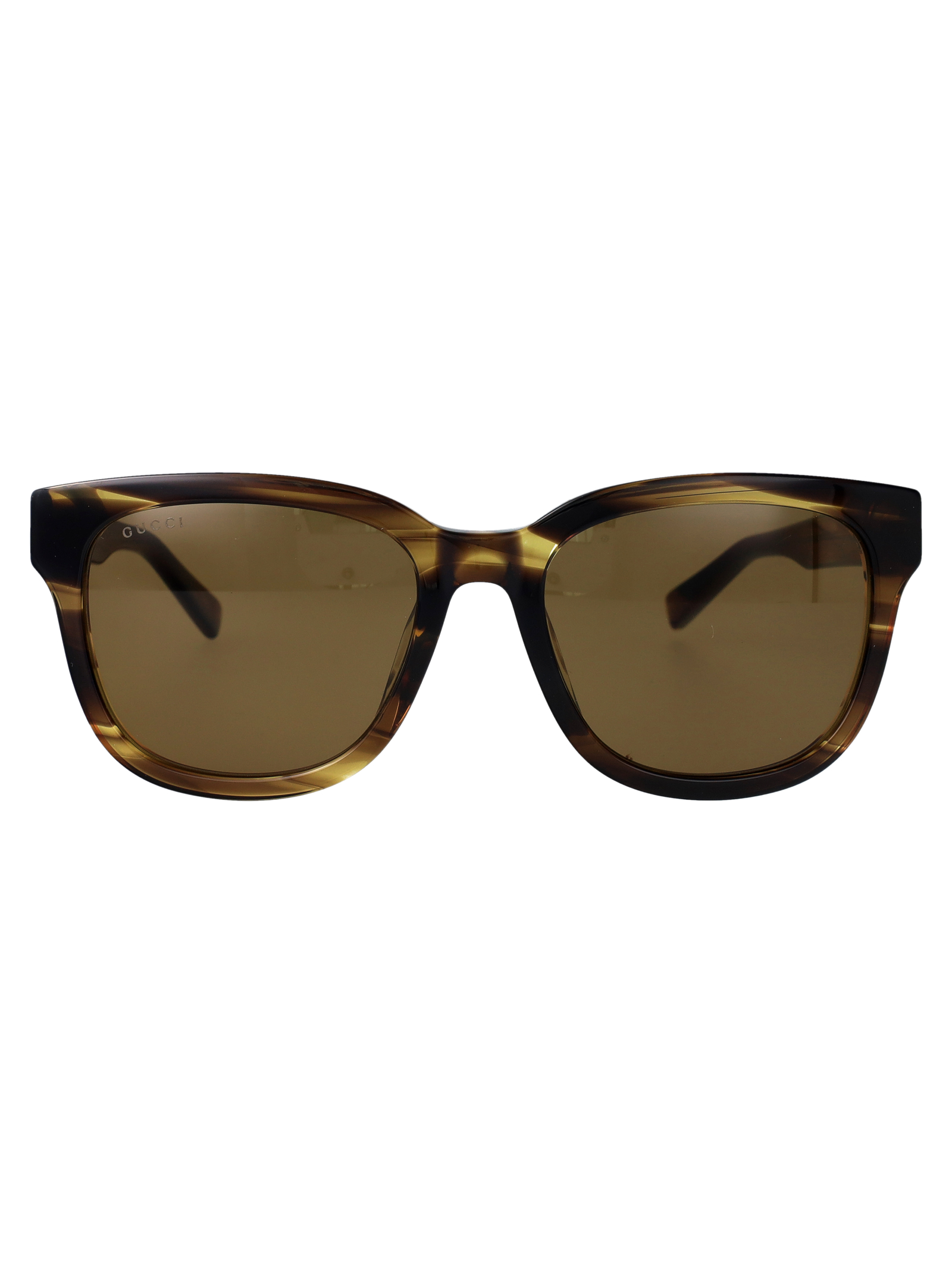 Gucci Gg2126sk 003 Havana-havana-brown Acetate Sunglasses - Women